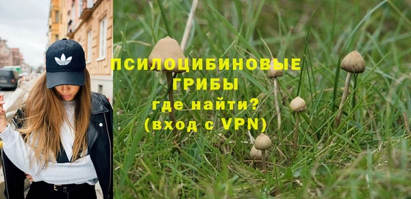 ECSTASY Козельск