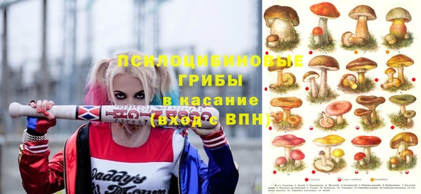 ECSTASY Козельск