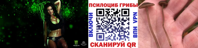 как найти наркотики  Старая Купавна  Галлюциногенные грибы Magic Shrooms 